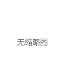 战略领导力：领导者如何在既定条件下求解？|自主性